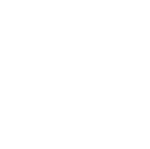 Birmingham Council